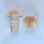 ARS 01 G Viscose POM