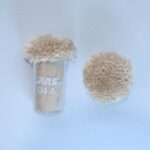 ARS 04 A Viscose POM