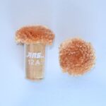 ARS 12 A Viscose POM